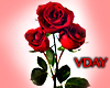 Rose for Valentine 