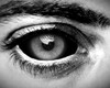 Scary Grey M