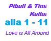 Pitbull&Timi Kullai /Lov