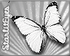 *White Butterflies*