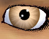 Sepia Eyes