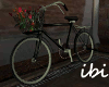 ibi Anitmated Bicycle