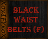 BLACK  WAIST BELTS (F)
