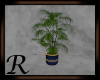 Blue Gold Plant v3