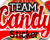 [CVH] Team CVH Sticker