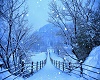 AS Winter Background