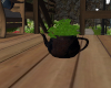 (S)Plant in tea pot