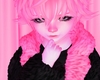 Femboy Sissy Brat Kawaii Harajuku Cute Pink Doll