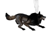 ☆ wolf