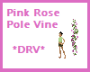 DRV* Pink Rose Pole Vine