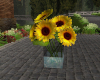 (S)Sunflower in vase