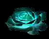 Aqua rose