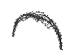 Black Wood Arch Lights