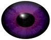 M-Purple Eyes