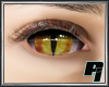 PI: Yellow Dragon Eyes