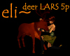 eli~ deer LARS 5poses