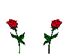 Roses and Hearts