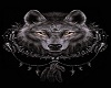 wolf  owl pic