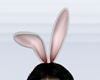 Bunny Ears Anim DRV