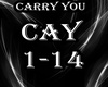 CARRY YOU