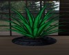 Tropical plant 1