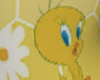 Tweety cute dress