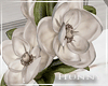 H. Magnolia Vase