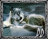 ~DD~ Wolf Pic 1
