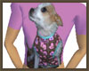 Chihuahua Flat T-Shirt!