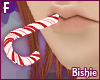 B] Peppermint Candy Cane