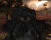 Alpha Wolf Hair F V2