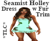*TLC*SeamistHolley Dress