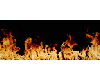 double animated fire