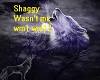 shaggy- wasn't me