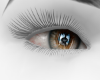 GP Natural Hazel LB Eyes