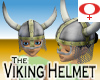 Viking Helmet -Womans v1