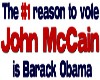 Vote for McCain