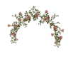 Rosesarch