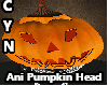 Ani Pumpkin Head
