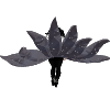Black crystal tail