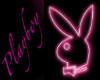 Playboy bunny club Purpl