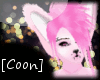 [Coon]Rydia Ears