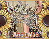 AM* Bellalee Add