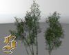 1620 Tree 2
