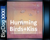HummingBirds+Kiss