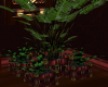 (SL)Tranbar Planter