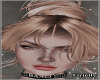 >L   Loiro Cinza Hair