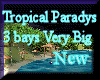 [my]New Tropical Paradys