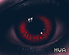 H. Cullen V1