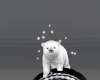 ❅ polar bear ❅ head